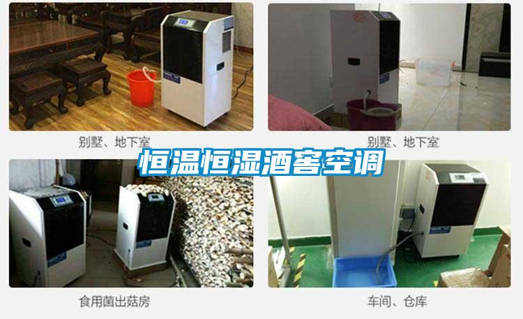 恒溫恒濕酒窖空調(diào)